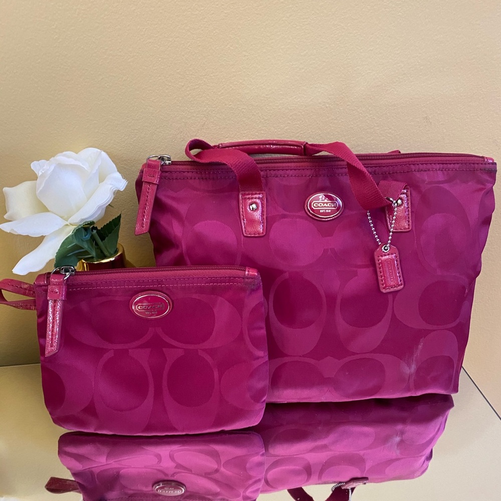 Coach cosmetic bag set